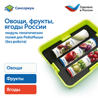 MS0102/2 Модуль "Овощи, фрукты, ягоды России" MS0102/2