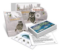 Комбинированное наглядное пособие 