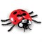 LER0789 Развивающая игрушка "Насекомые" (7 элементов) LER0789 - фото 47588445 LER0789 Развивающая игрушка "Насекомые" (7 элементов) LER0789 - фото 47588445