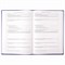 Журнал учета проверок юр.лиц и ИП, 96 л., бумвинил, блок офсет, фольга, А4 (200х290 мм), BRAUBERG, 130235 130235