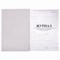 Журнал учёта работы педагога дополнительного образования, 48 л., А4 (200х280 мм), картон, офсет, STAFF, 130243 130243