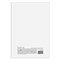 Книга складского учета материалов форма М-17, 96 л., картон, типографский блок, А4 (200х290 мм), STAFF, 130242 130242