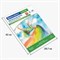 Папка для акварели БОЛЬШОГО ФОРМАТА А3, 20 л., 200 г/м2, индивидуальная упаковка, BRAUBERG SCHOOL, 114299 114299