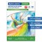 Папка для акварели БОЛЬШОГО ФОРМАТА А3, 20 л., 200 г/м2, индивидуальная упаковка, BRAUBERG SCHOOL, 114299 114299