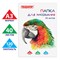 Папка для рисования БОЛЬШОГО ФОРМАТА А3, 40 л., 120 г/м2, ПИФАГОР, 297х420 мм, "Попугай", 129219 129219