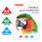 Папка для рисования, А4, 40 л., 120 г/м2, ПИФАГОР, 210х297 мм, "Попугай", 129222 129222