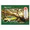 Альбомы для рисования ДЭК А4, 40 л., КОМПЛЕКТ 4 шт., гребень, обложка картон, BRAUBERG, 205х290 мм, "Природа" (2 вида), 880035 880035
