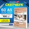 Скетчбук, белая бумага 100 г/м2, 140х201 мм, 60 л., гребень, жёсткая подложка, BRAUBERG ART DEBUT, "Котик!", 115062 115062