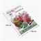 Скетчбук белая бумага 100 г/м2 142х212 мм, 80 л., гребень, твердая обложка, BRAUBERG ART DEBUT, 112984 112984