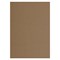 Крафт-бумага для графики, эскизов А4(210х297мм), 120г/м2, 100л, BRAUBERG ART CLASSIC,112486 112486