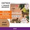 Скетчбук, крафт-бумага 80 г/м2, 195х195 мм, 120 л., гребень, твердая обложка, BRAUBERG ART DEBUT, 113000 113000