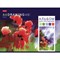 Альбом для рисования, А4, 48 листов, скоба, обложка картон, HATBER, 205х290 мм, "Акварельная палитра" (5 видов), 48А4В 113791