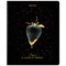 Тетрадь А5, 48 л., BRAUBERG, скоба, клетка, матовая ламинация, фольга, "Black&Gold" (микс в спайке), 404370 404370