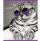 Тетрадь А5, 48 л., ПЗБМ, скоба, клетка, фольга, конгрев, TWIN лак, "КОТ БАЗИЛ" (5 видов), 029211 404217