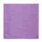Салфетка из МИКРОФИБРЫ универсальная 30х30 см, фиолетовая, 220 г/м2, ЛЮБАША ПЛЮС, 606305 606305 - фото 49164875