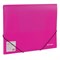 Папка на резинках BRAUBERG "Neon", неоновая, розовая, до 300 листов, 0,5 мм, 227462 - фото 49180767