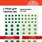 Стразы самоклеящиеся "Круглые", 6-15 мм, 80 шт., зеленые/салатовые, на подложке, ОСТРОВ СОКРОВИЩ, 661393 661393