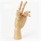 Манекен художественный BRAUBERG ART CLASSIC "РУКА", высота 25 см., женская левая, дерево, 191298 191298