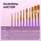 Кисти синтетика BRAUBERG, НАБОР 10 шт., фиолетовые (Круглые; Овальные; Плоские; Лайнеры), 201029 201029 - фото 49219789