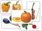 Набор предметных картинок "Овощи. Музыкальные инструменты" (48 шт., А4, с магнитами) - фото 49455709