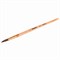 Кисть ПИФАГОР, БЕЛКА, круглая, № 5, деревянная лакированная ручка, с колпачком, 200819 200819