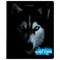 Тетрадь А5, 48 л., BRAUBERG, скоба, клетка, выборочный лак, "Wild eyes" (микс в спайке), 404343 404343