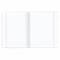 Тетради ДЭК 12 л. КОМПЛЕКТ 10 шт. с ЗЕЛЁНОЙ обложкой, ЮНЛАНДИЯ, косая линия, 106748 106748