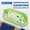 Пенал-косметичка BRAUBERG LUCENT на молнии, прозрачный, "Avocado", 21х5х9 см, 270054 270054