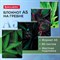 Блокнот А5 (146х206 мм), 80 л., гребень, картон, жесткая подложка, клетка, BRAUBERG, "Растения", 114388 114388