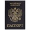Обложка для паспорта STAFF "Profit", экокожа, "ПАСПОРТ", черная, 237191 237191
