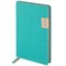 Ежедневник недатированный А5 (138х213 мм), BRAUBERG "AIM", под кожу, 136 л., бирюзовый, 113419 113419