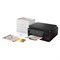 МФУ струйное CANON PIXMA G6040 "3 в 1" А4, 13 стр./мин, 4800х1200, ДУПЛЕКС, Wi-Fi, сетевая карта, СНПЧ, 3113C009 354637