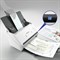 Сканер потоковый EPSON WorkForce DS-530II А4, 35 стр./мин, 1200x1200, ДАПД, B11B261401 354774