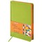 Ежедневник недатированный А5 138х213 мм BRAUBERG "Rainbow" под кожу, 136 л., зеленый, 111669 111669