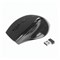 Мышь беспроводная DEFENDER Accura MM-295, 5 кнопок + 1 колесо-кнопка, оптическая, черная, 52295 512862