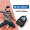 Рюкзак BRAUBERG FASHION CITY универсальный, 2 отделения, "Skateboard", черный, 46х31х15 см, 229969 229969