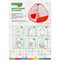 Детская игровая палатка, 90x90x100 см, BRAUBERG KIDS, 665168 665168