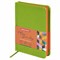 Ежедневник недатированный МАЛЫЙ ФОРМАТ 100х150 мм А6 BRAUBERG "Rainbow" под кожу, 136 л., зеленый, 111689 111689