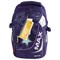 Рюкзак TIGER FAMILY молодежный, MAX, с ортопедической спинкой, "Bedtime Story", 43х33х23 см, 270222 270222