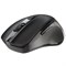 Мышь беспроводная DEFENDER Prime MB-053, USB, 5 кнопок + 1 колесо-кнопка, оптическая, черная, 52053 513822
