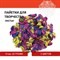 Пайетки для творчества "Листья", 5 цветов, 15 мм, 20 грамм, ОСТРОВ СОКРОВИЩ, 661280 661280