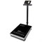 Весы напольные MERTECH M-ER 333ACLP-300.50/100 LED (2-300 кг), дискретность 100 г, платформа 600x800 мм, со стойкой, 3615 290788