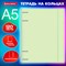 Тетрадь на кольцах А5 175х220 мм, 120 л., пластик, с резинкой и разделителями, BRAUBERG, Зеленый, 404632 404632