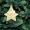Украшение ёлочное "Звезды с усами", 4 шт., 8,5х7,5 см, пластик, золотистые, ЗОЛОТАЯ СКАЗКА, 592000 592000