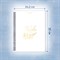 Папка-тетрадь для нот А4, 20 вкладышей на 40 страниц, на гребне, пластик, БЕЛАЯ, BRAUBERG, 404644 404644