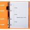Тетрадь на кольцах А5 175х220 мм, 120 л., пластик, на липучке, с разделителями, BRAUBERG, Оранжевый, 404636 404636