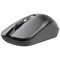 Мышь беспроводная бесшумная DEFENDER Wave MM-995, USB, 3 кнопки + 1 колесо-кнопка, оптическая, черная, 52995 513824