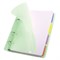 Тетрадь на кольцах А5 175х220 мм, 120 л., пластик, с резинкой и разделителями, BRAUBERG, Зеленый, 404632 404632
