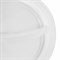 Одноразовые тарелки 2-х секционные КОМПЛЕКТ 100 шт. 220 мм, белые, ПП, холодное/горячее, LAIMA СТАНДАРТ, 608768 608768