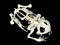 Скелет лягушки - фото 51508094